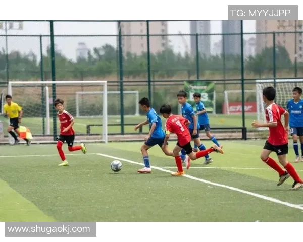 全球绿茵争锋展现足球魅力引领时代脉动推动文明交流新篇章之光辉